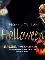 Harry Potter Halloween Party