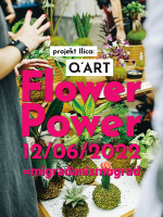 Projekt Ilica: Q'ART - FLOWER POWER