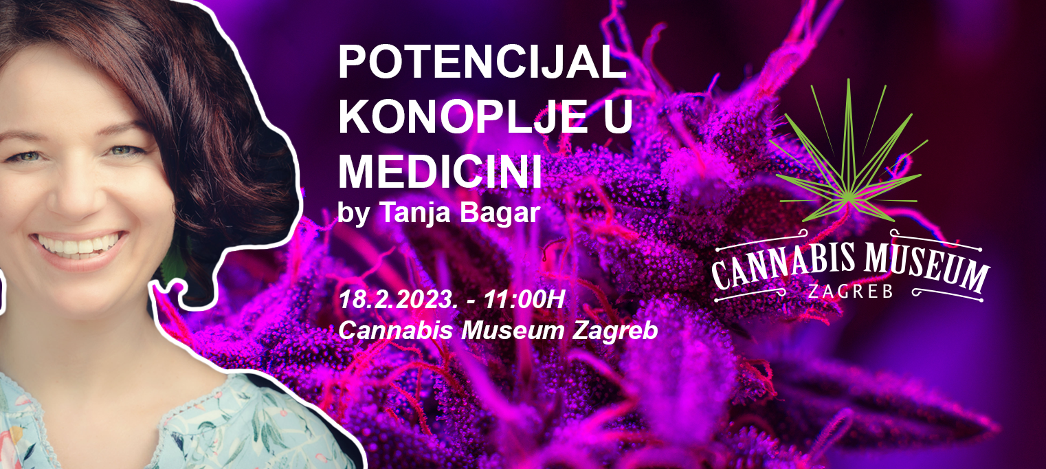 Potencijal konoplje u medicini - by Tanja bagar - Cannabis Museum Zg