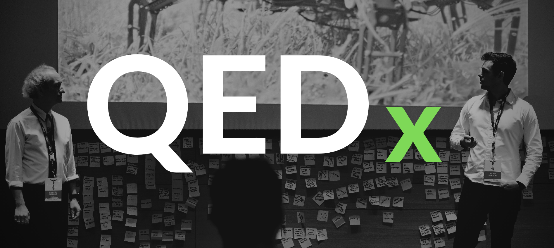 QEDx