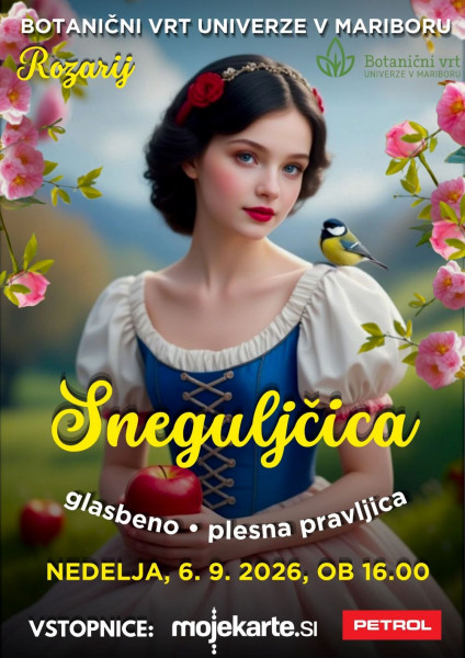 SNEGULJČICA glasbeno - plesna predstava