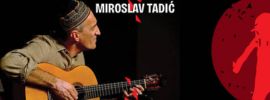 Miroslav Tadić, gitara:Što te nema