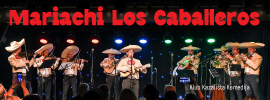 Mariachi Los Caballeros
